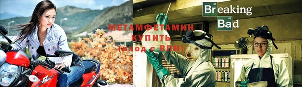 прущие грибы Лагань